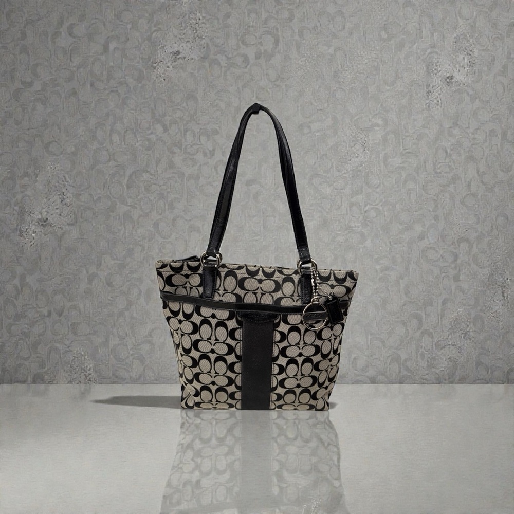 Coach F28504 Signature Stripe Tote Black Gray